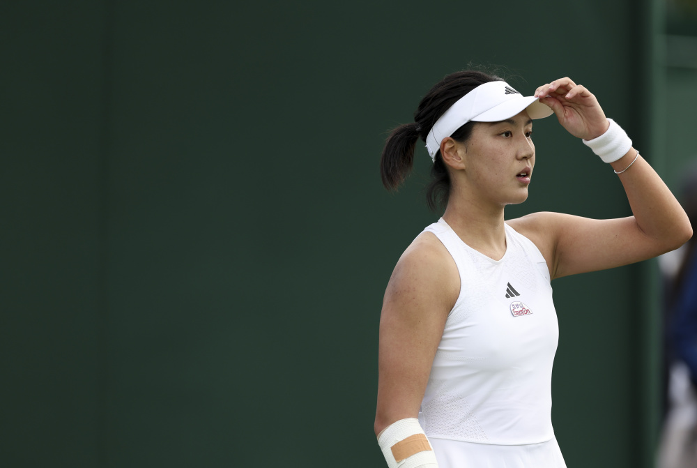 球迷的期待 球迷的期待