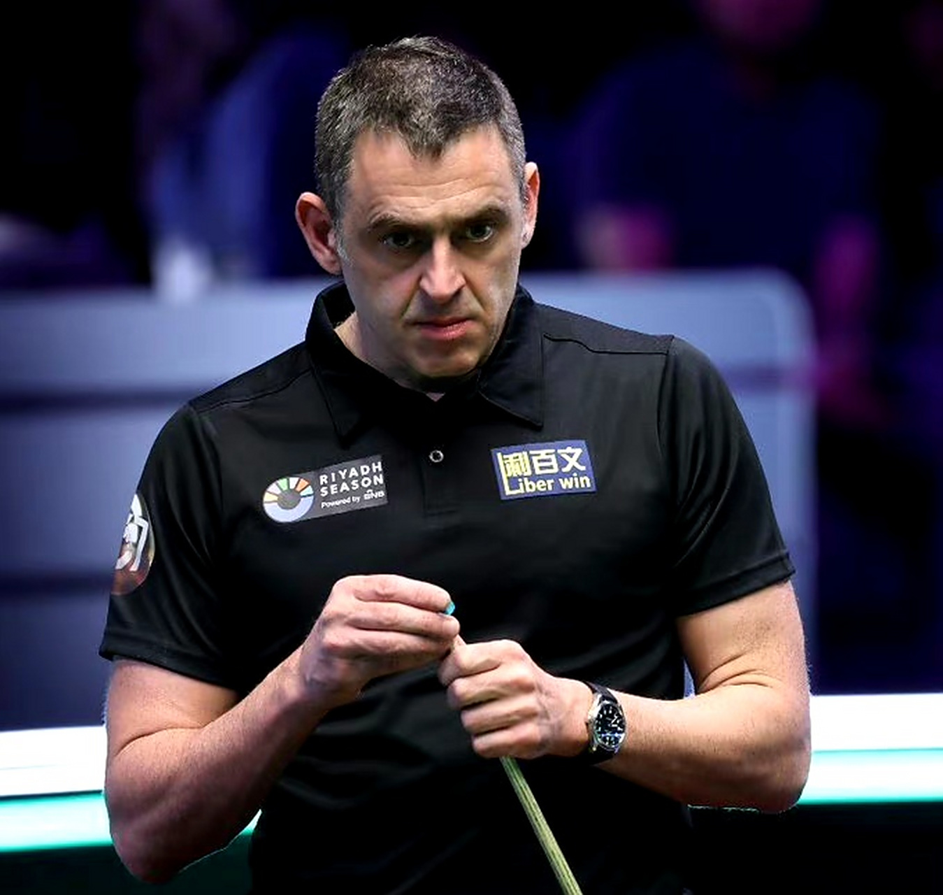 人力摩天轮 人力摩天轮